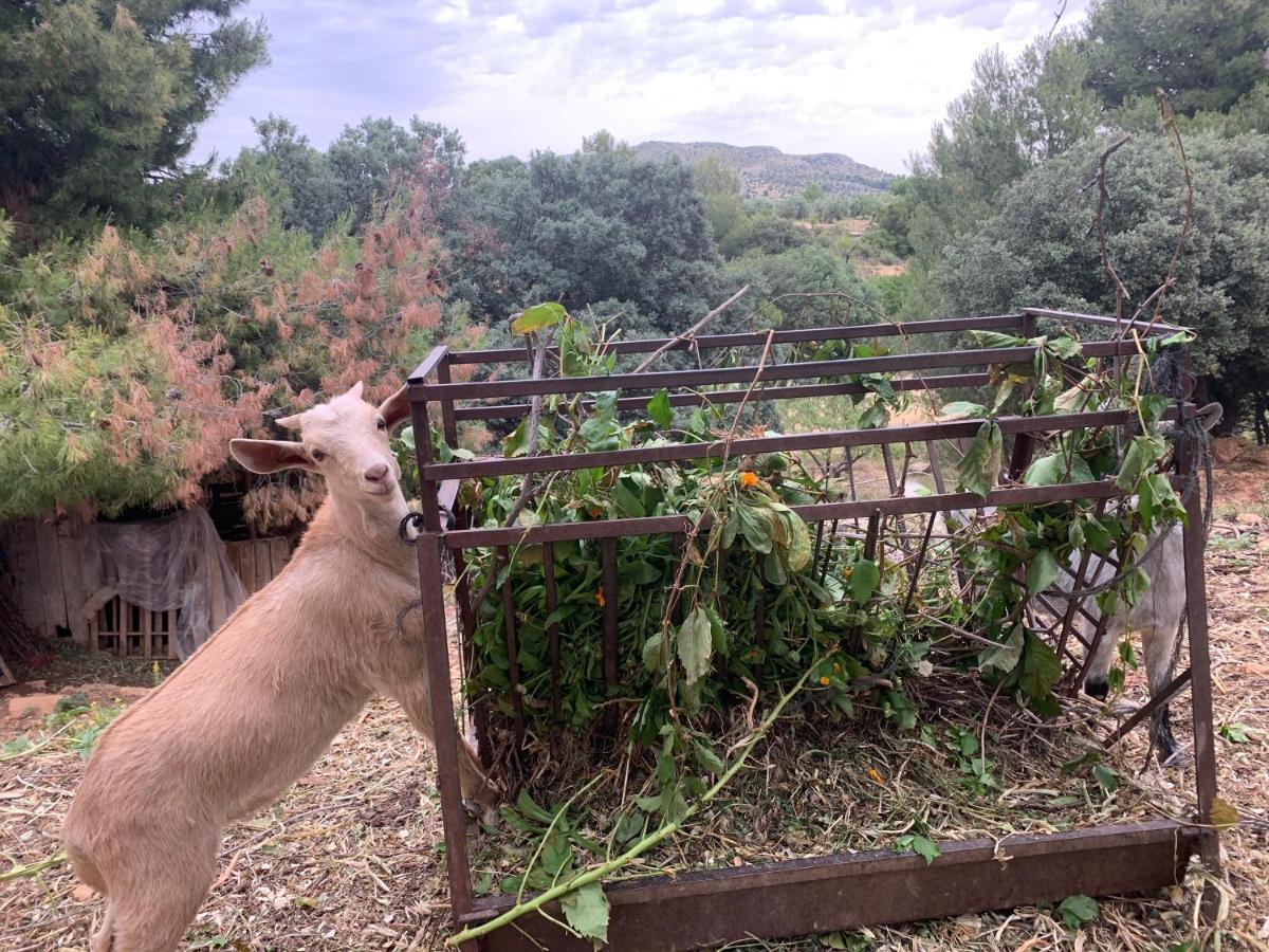 Casa de Campo Cortijo El Helao Pozo Alcón