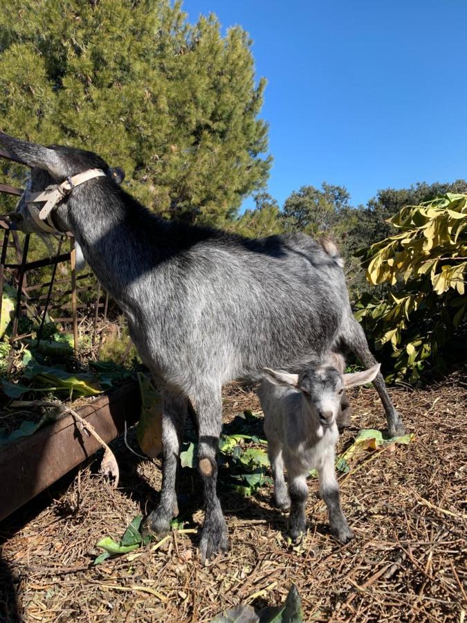 Cortijo El Helao Pozo Alcón