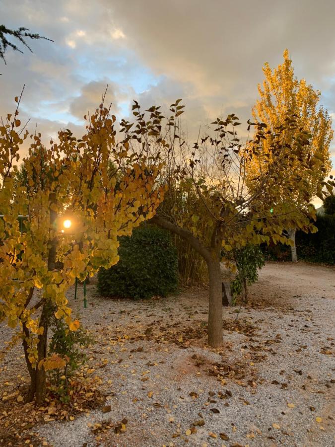 Séjour à la campagne Cortijo El Helao
